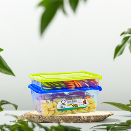 Bistro Box 2 Piece Set – Airtight Lunch & Snack Containers